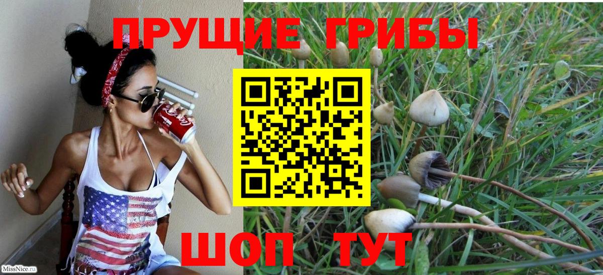 Псилоцибиновые грибы мухоморы Шебекино